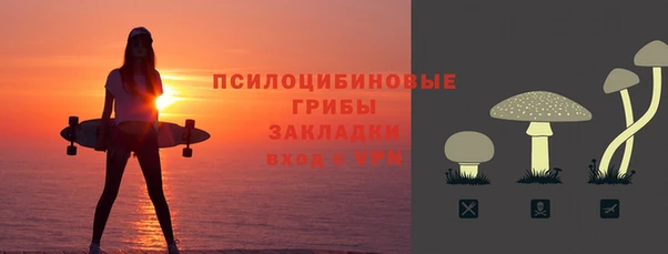 спиды Пестово