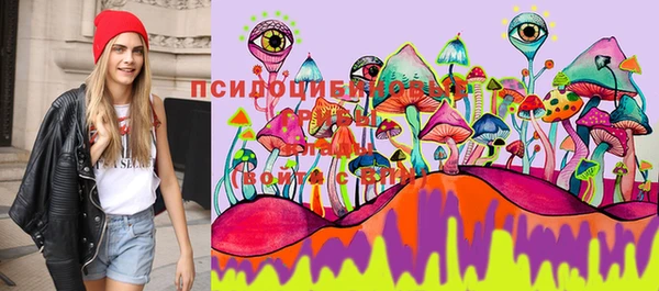 гидропоника Белоозёрский